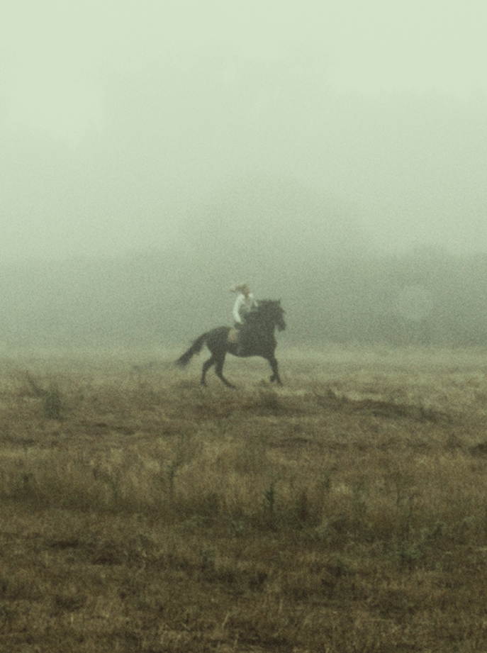 Una persona montando a caballo a través de un paisaje natural envuelto en bruma en los bosques de Tenerife, como parte de las rutas del Gen Explorador.